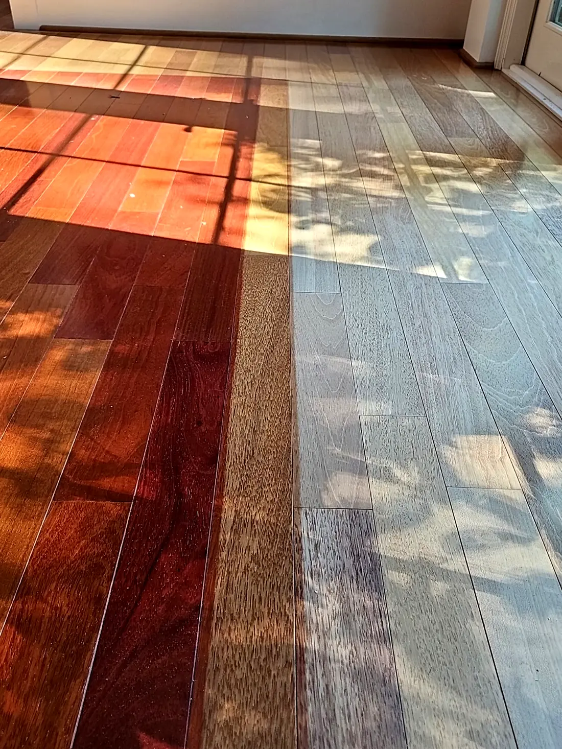 Bare sanded wood on one side of the line, finished floor on the other
